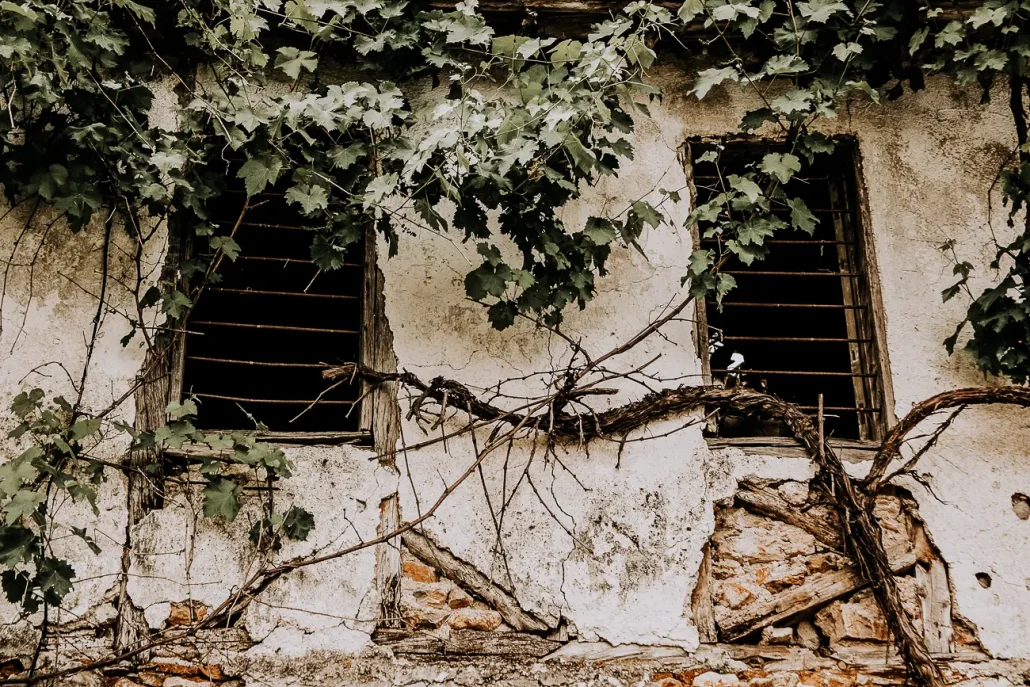 &beta;ά&phi;&tau;&iota;&sigma;&eta; &sigma;&tau;&omicron;&nu; &pi;&alpha;&lambda;&iota;ό &pi;&alpha;&nu;&tau;&epsilon;&lambda;&epsilon;ή&mu;&omicron;&nu;&alpha;